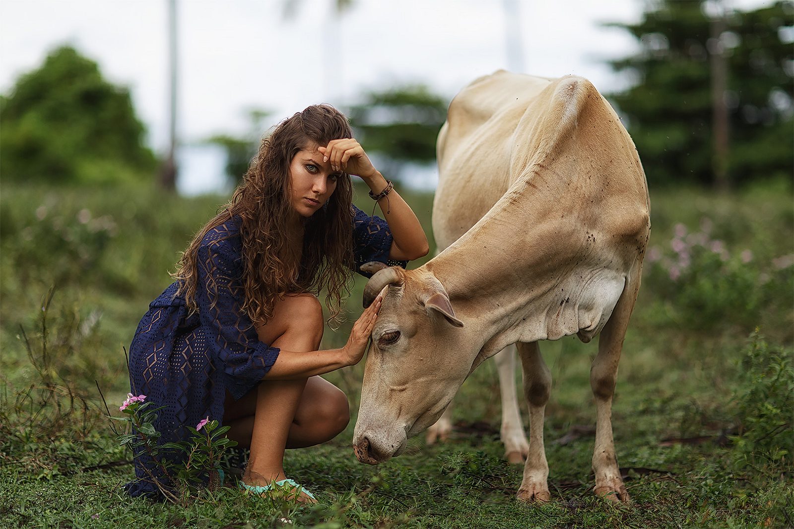 Woman petting a cow in a meadow