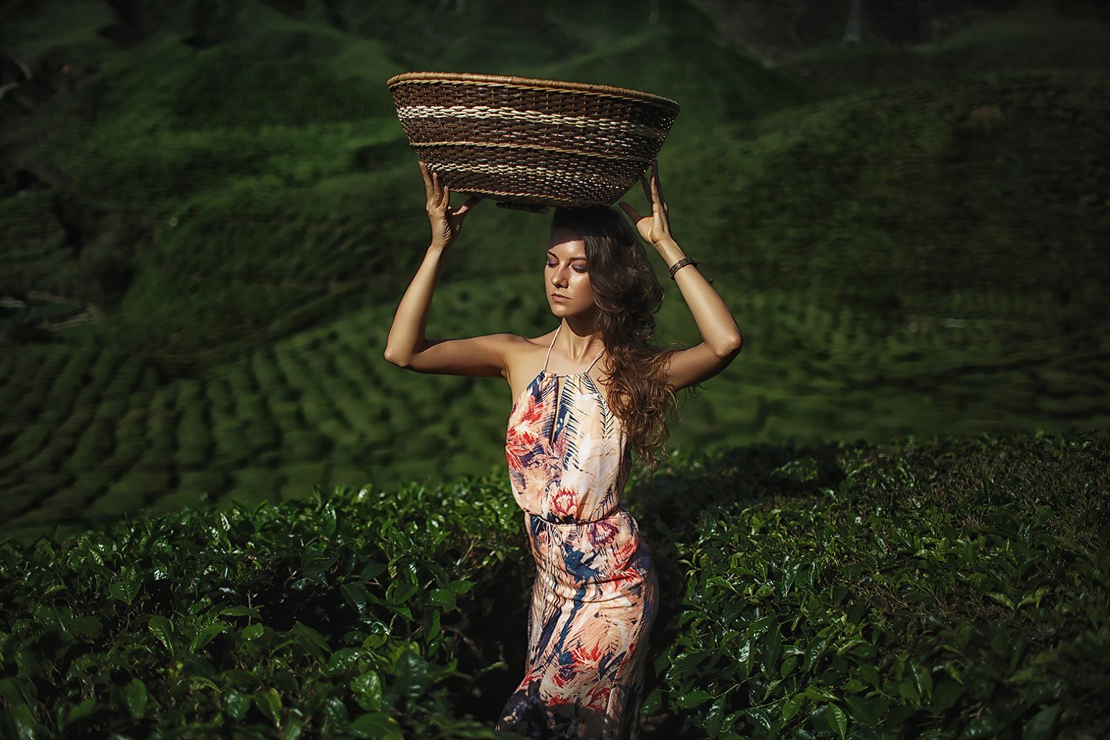 Woman with a woven basket on her head among green rows